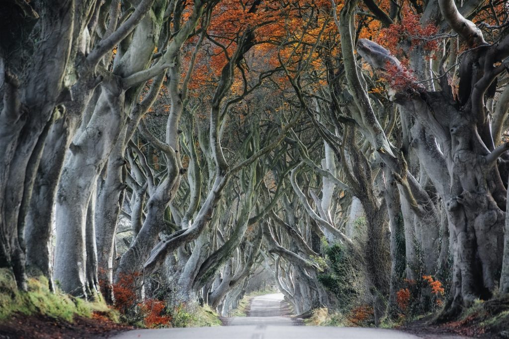 The Fantasy Writer (Part&nbsp;2)